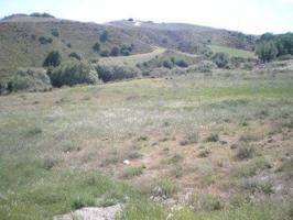 Terreno en venta en El Molar, El Molar Zona de - El Molar  Madrid photo 0