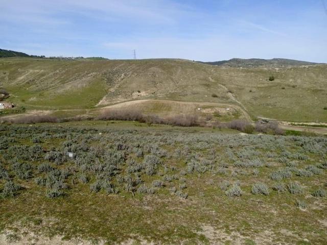 Terreno en venta en El Molar, El Molar photo 0