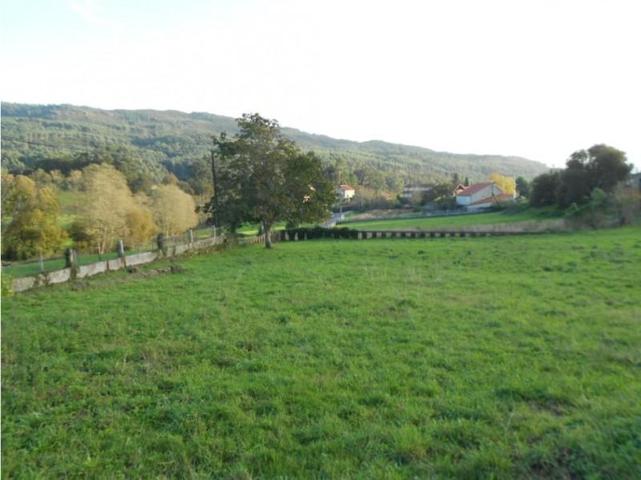 Terreno en venta en Cotobade, Quintan photo 0