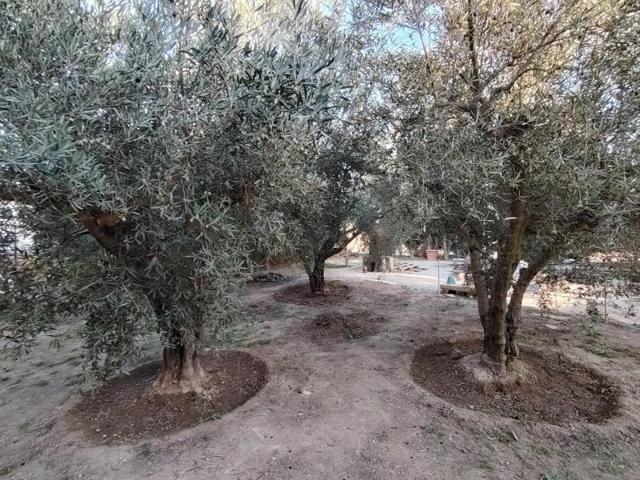 Casa con terreno en venta en Pinoso, Pinoso photo 0