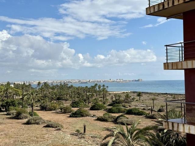 Apartamento en venta en Torrevieja photo 0