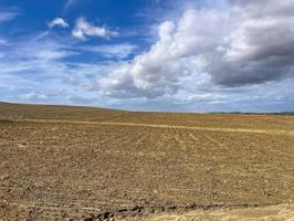 Terreno en venta en Écija, Carretera Marchena, 41400 photo 0
