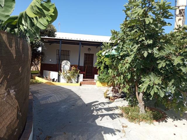 Casa con terreno en venta en Alcaucín, La Exotica photo 0