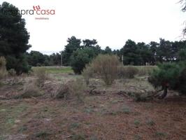 Terreno en venta en Navas de Oro, Navas de oro photo 0