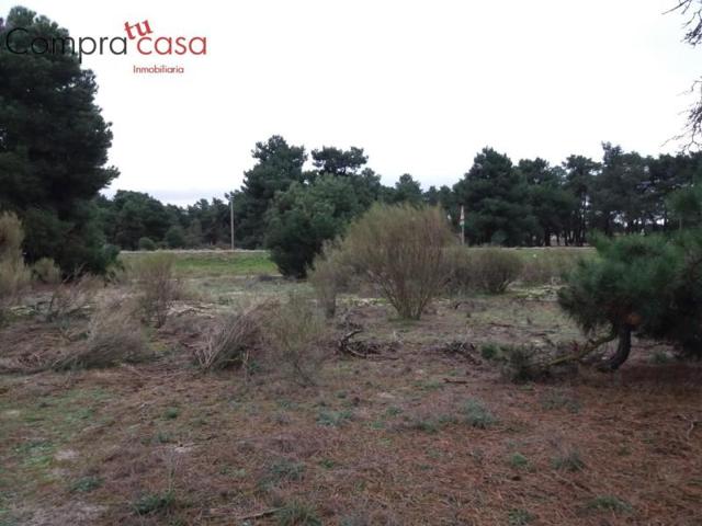 Terreno en venta en Navas de Oro, Navas de oro photo 0