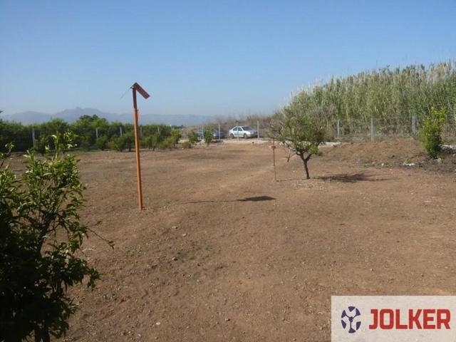 Terreno en venta en Burriana, Caminas photo 0