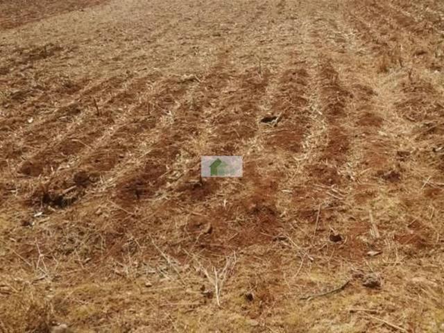 Terreno en venta en Montijo photo 0