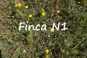 Terreno en venta en Carataunas, Alpujarra photo 0