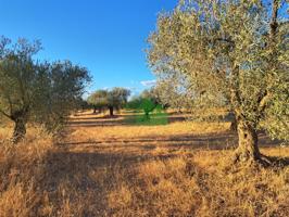 Terreno en venta en Montijo, LOS ARENALES photo 0