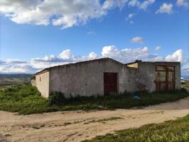 Local comercial en venta en El Molar, El Molar photo 0