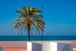 Apartamento en venta en Chiclana de la Frontera, La barrosa photo 0
