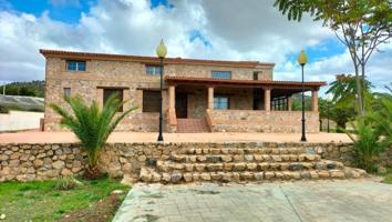 Chalet en venta en Aspe, Aspe photo 0