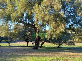 Chalet en venta en Cala, Cala photo 0