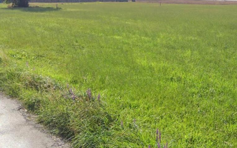 Chalet en venta en Arnuero, Arnuero photo 0