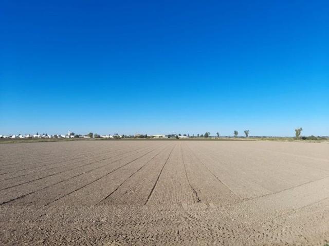 Terreno en venta en Utrera, El Trobal photo 0