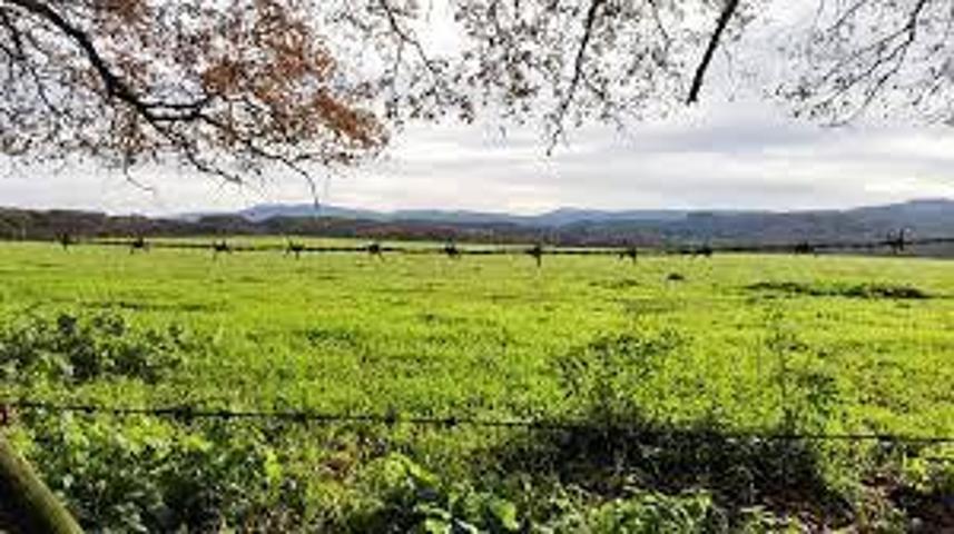 Chalet en venta en Grado, Grado photo 0