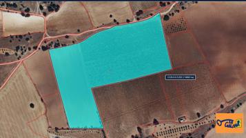 Chalet en venta en Campo de Criptana, Campo De Criptana photo 0