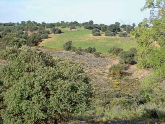 Chalet en venta en Ciudad Real, Centro photo 0