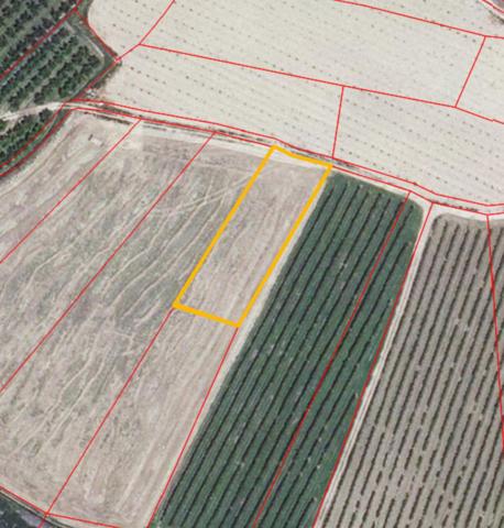 Chalet en venta en Alfaro, Alfaro photo 0