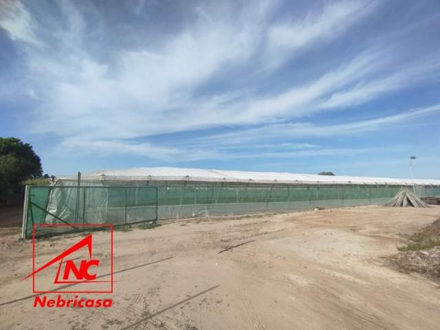 Chalet en venta en Chipiona, Chipiona photo 0