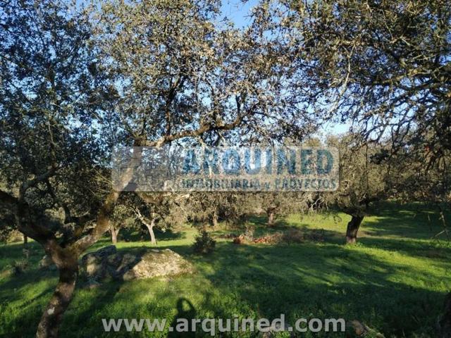 Chalet en venta en Higuera la Real, Rustica photo 0