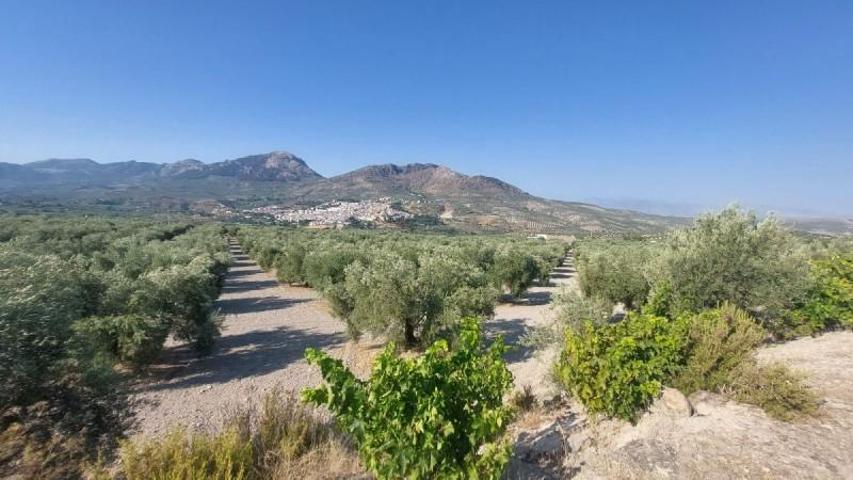 Chalet en venta en Quesada, Rustica - El Pago photo 0