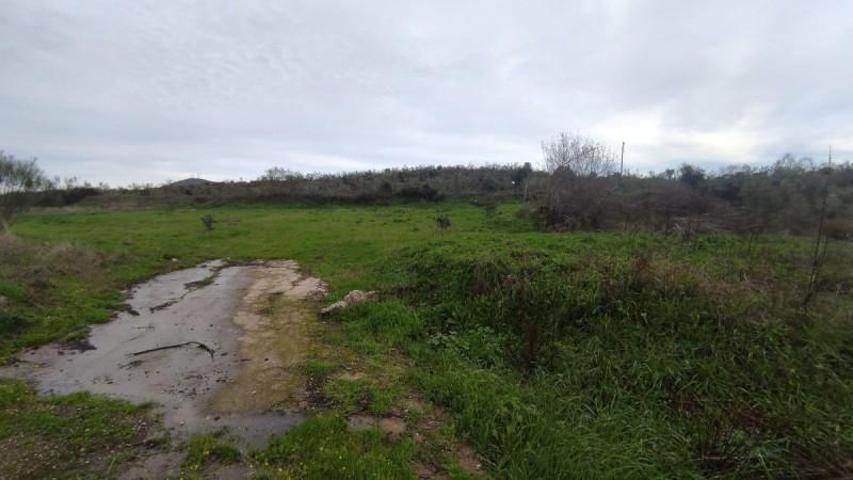 Terreno en venta en Plasencia, Plasencia photo 0