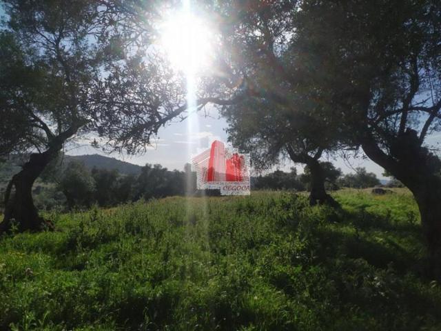 Chalet en venta en Cumbres Mayores, Cumbres Mayores photo 0