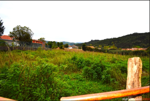 Terreno en venta en Solórzano, Solórzano photo 0