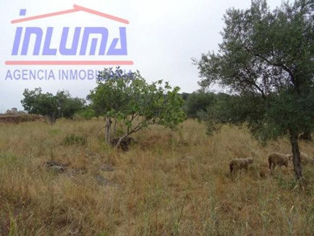 Chalet en venta en Jerez de los Caballeros, Jerez De Los Caballeros photo 0