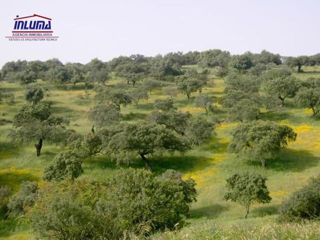 Chalet en venta en Jerez de los Caballeros, Jerez De Los Caballeros photo 0
