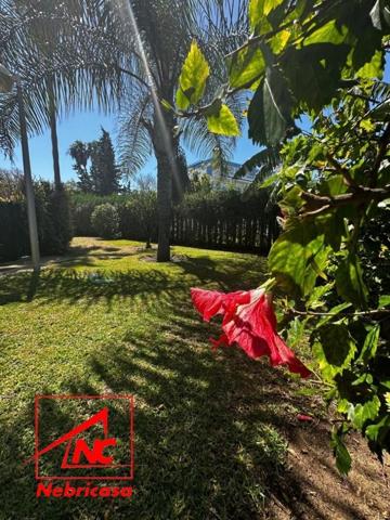 Piso en alquiler en Rota, Costa Ballena photo 0