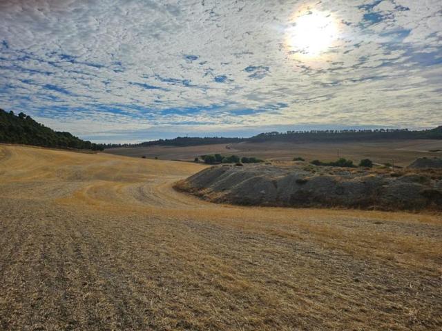 Terreno en venta en Cistérniga, Cisterniga photo 0