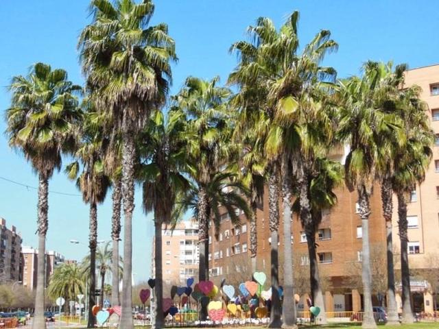 Garaje en alquiler en Badajoz photo 0