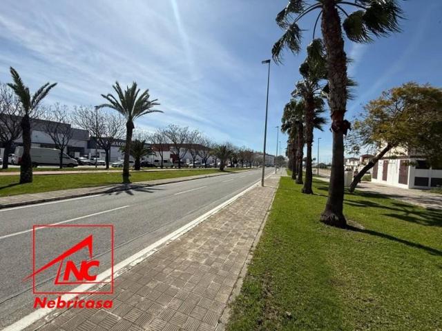 Terreno en venta en Lebrija, Lebrija photo 0