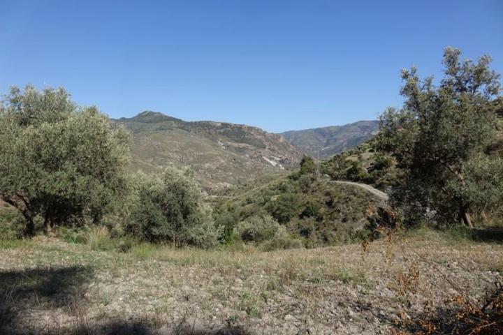 Terreno en alquiler en Carataunas, Carataunas photo 0