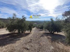 Chalet en venta en Torreperogil, Torreperogil photo 0