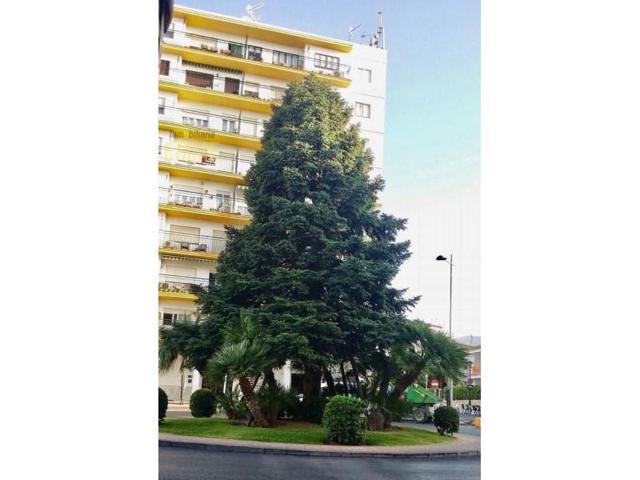 Local comercial en alquiler en Ronda photo 0