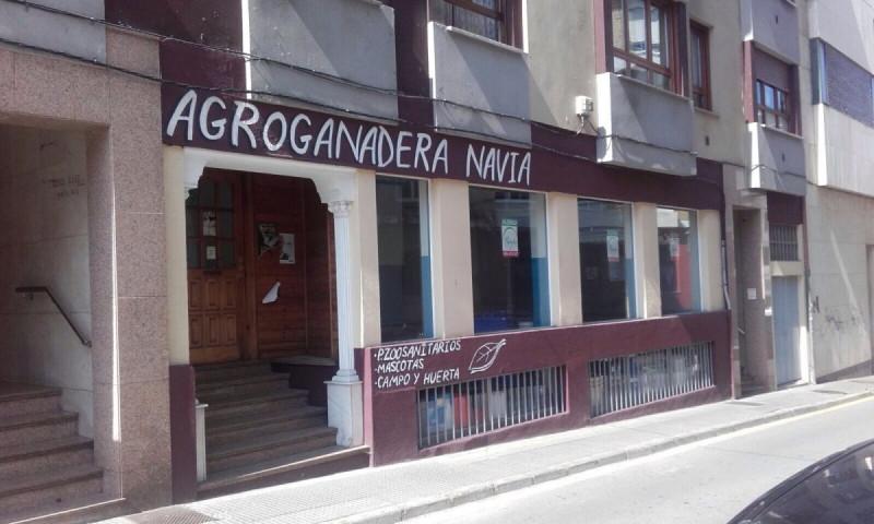 Local comercial en alquiler en Navia, Navia photo 0