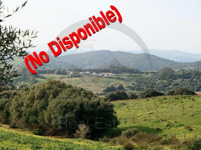 Casas de pueblo en alquiler en San Roque, San Enrique De Guadiaro photo 0