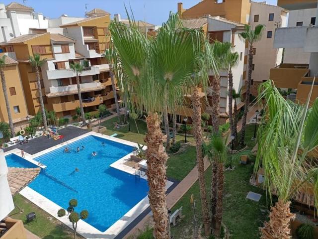 Apartamento en alquiler en Torrevieja, Punta prima photo 0