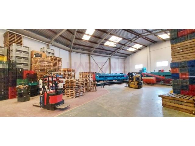 Nave industrial en alquiler en Picanya photo 0