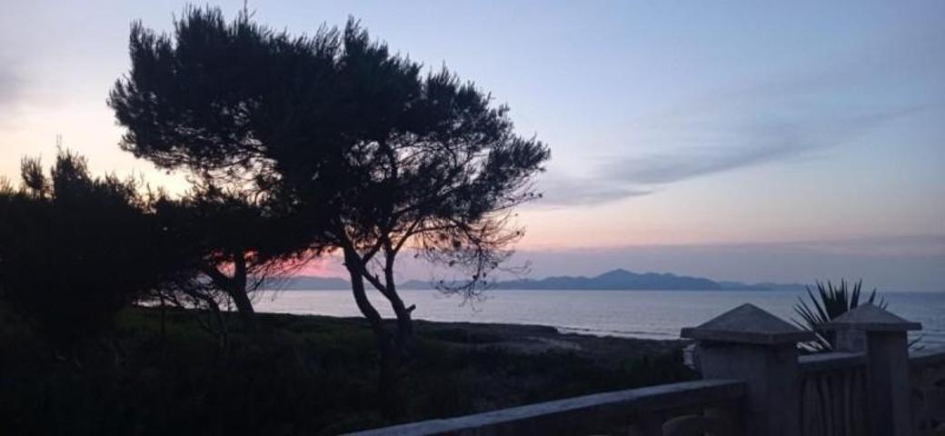 Casa en alquiler en Santa Margalida, Can Picafort photo 0