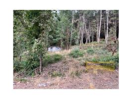 Terreno en venta en Paradela, Loio photo 0