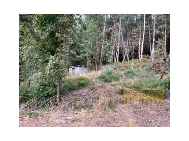 Terreno en venta en Paradela, Loio photo 0