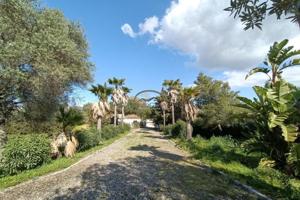 Chalet en alquiler en Jimena de la Frontera, Jimena De La Frontera photo 0