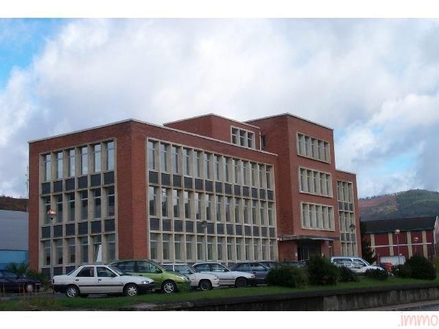 Oficina en alquiler en Alegría-Dulantzi, Alegría-Dulantzi photo 0