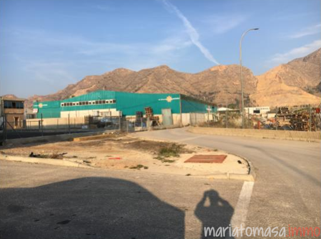 Nave industrial en alquiler en Orihuela, Orihuela photo 0