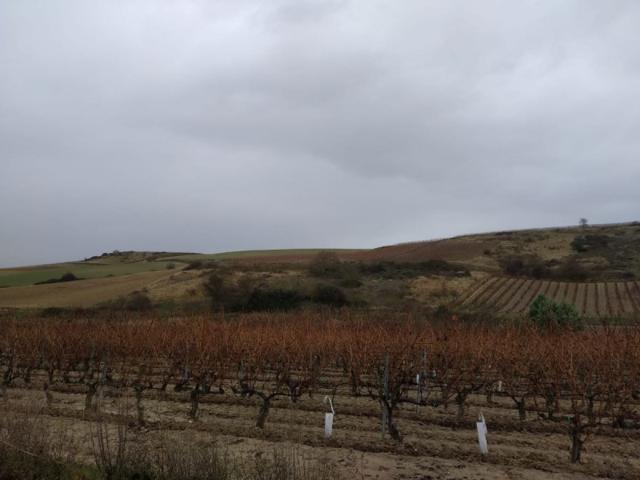 Chalet en venta en Rodezno, Rodezno photo 0