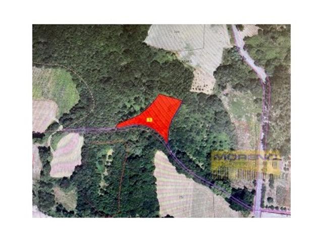 Terreno en venta en Sarria, Betote de Arriba photo 0